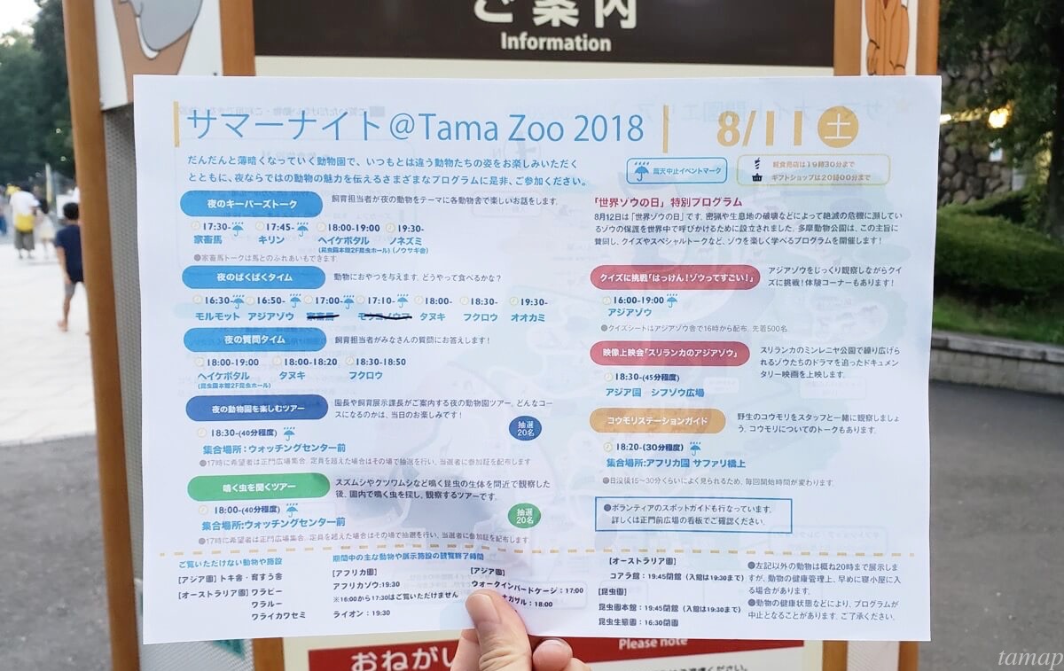 サマーナイト＠Tama Zoo