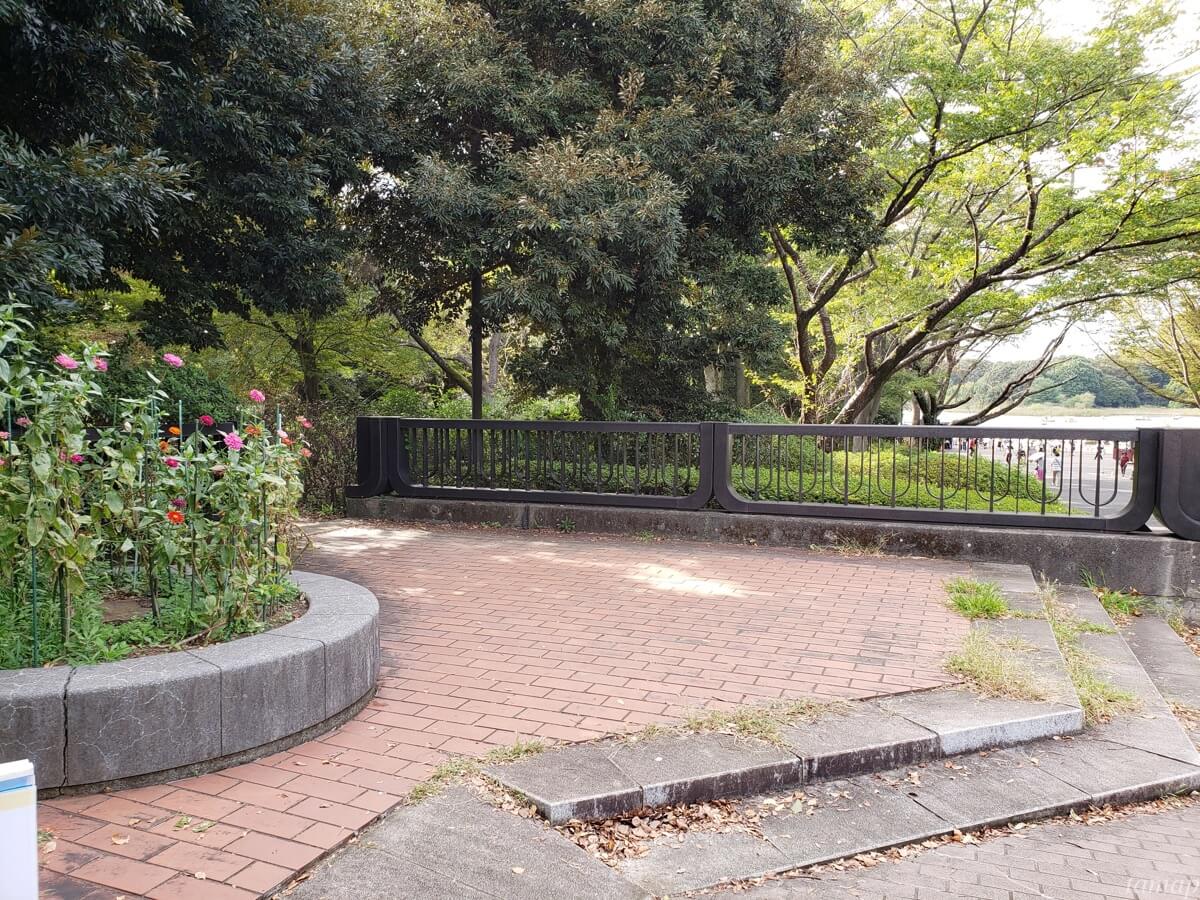 昭和記念公園の彼岸花