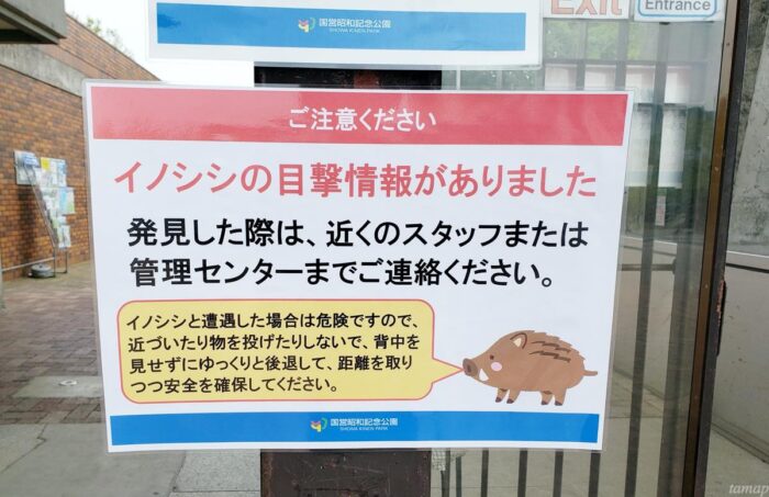 昭和記念公園のイノシシ出没のポスター