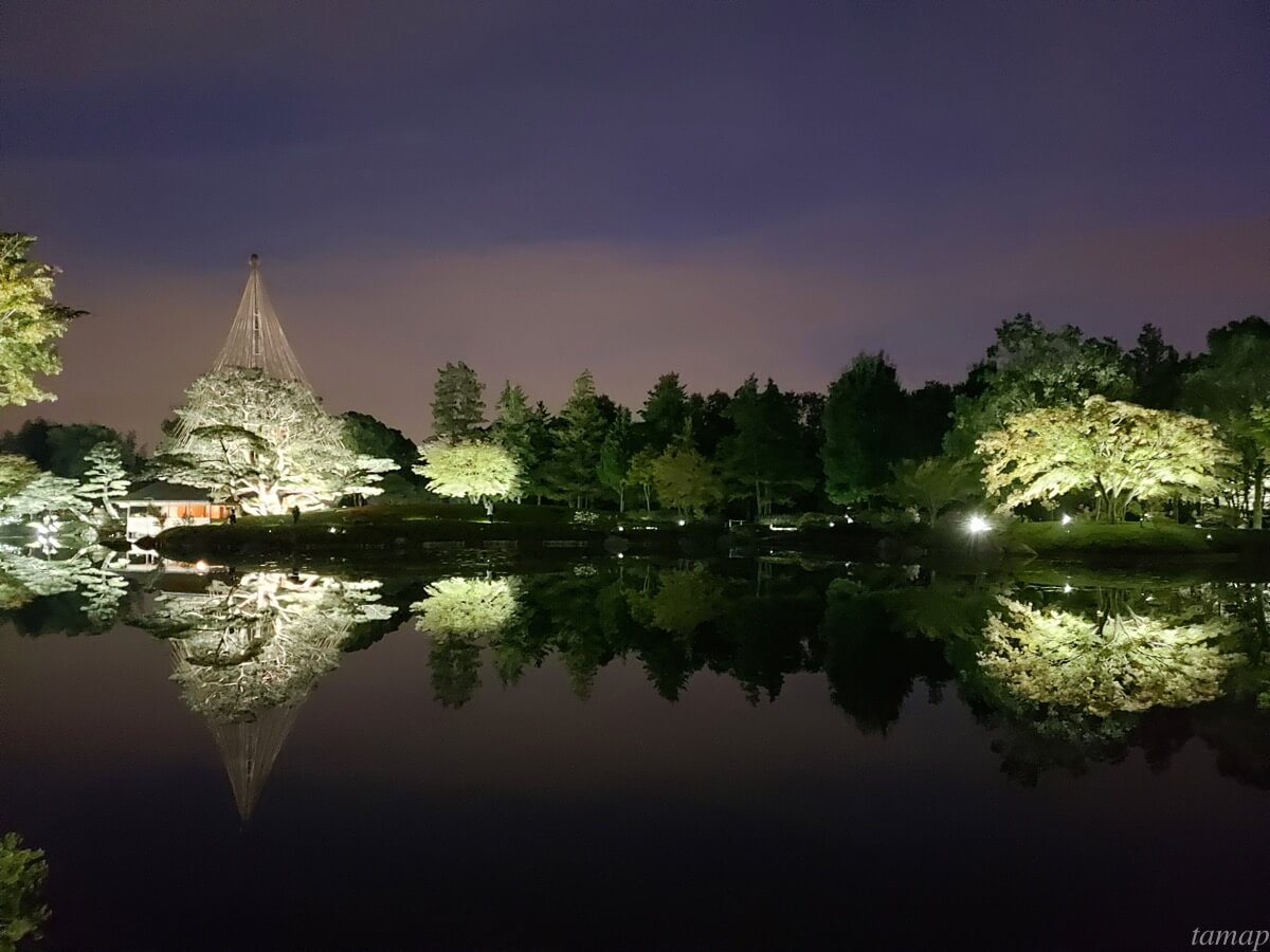 秋の夜散歩の日本庭園