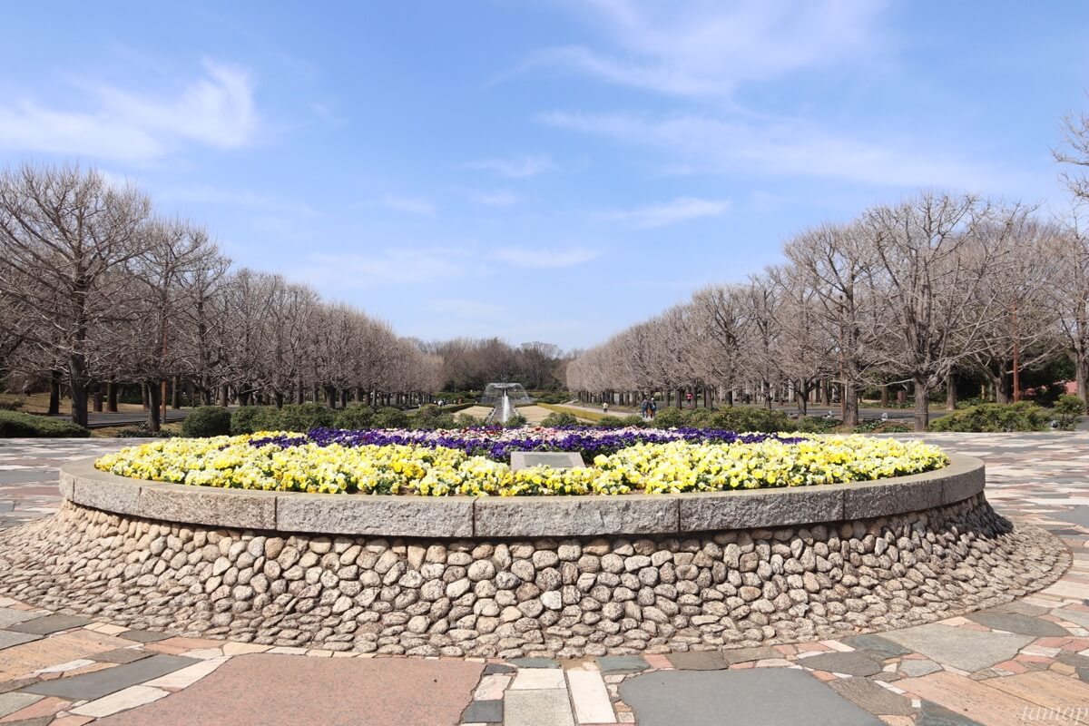 昭和記念公園の入り口
